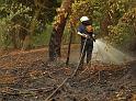 Waldbrand Bergisch Gladbach Bensberg P180